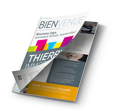 Newsletter Thierry Immobilier